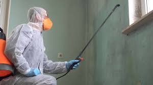 Why You Should Choose Our Mold Remediation Services in Pleasant Run Farm, OH